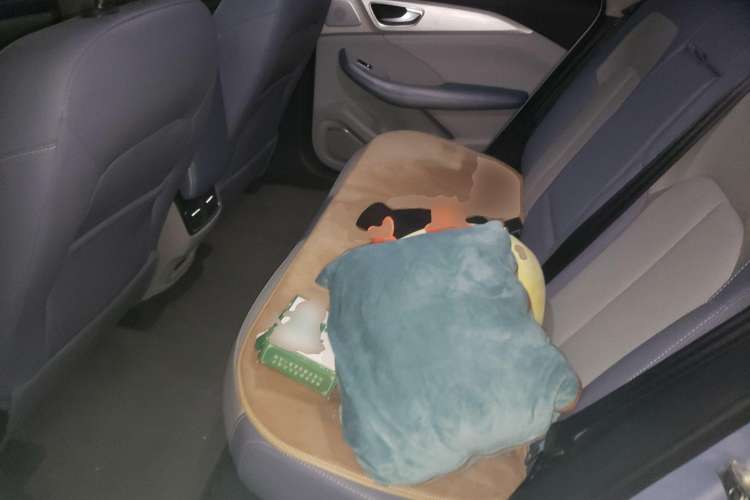 Used Rising ER6 2020 620 km Smart Edition
