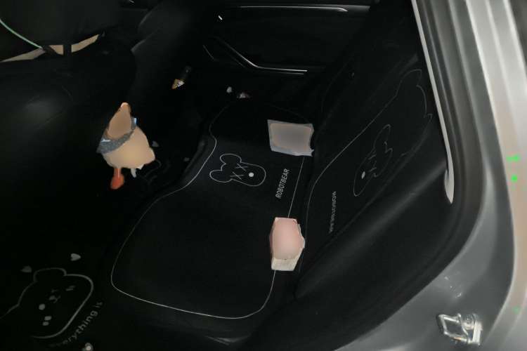 Used Bestune T55 2021 1.5T Automatic Joyful Life Luxury Edition Left Rear Seat