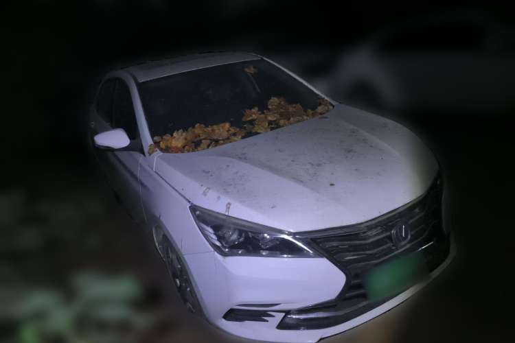 Used CHANGAN Eado DT 2019 1.6L Manual Comfort Model China VI Standard