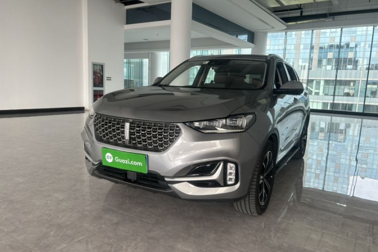 Used Wey VV6 2021 2.0T Two-Wheel Drive Smart Protection+