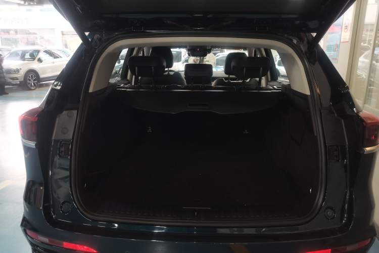 Used Wey Latte DHT-PHEV 2022 1.5T Two-Wheel-Drive Extra-Large Version