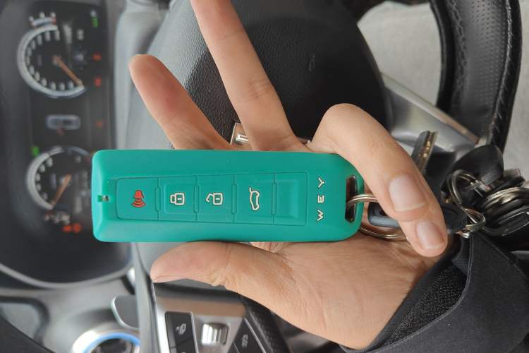 Used Wey P8 2018 2.0T Flagship Model