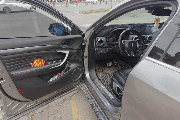 Used Wey P8 2018 2.0T Flagship Model