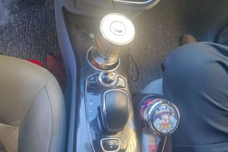 Used Denza Denza 2014 Stylish Edition
