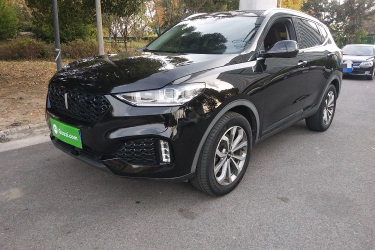 Used Wey VV6 2019 2.0T Two-Wheel Drive Luxury Version China VI Standard