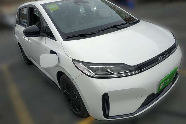 Used BYD D1 2023 Beyond Edition
