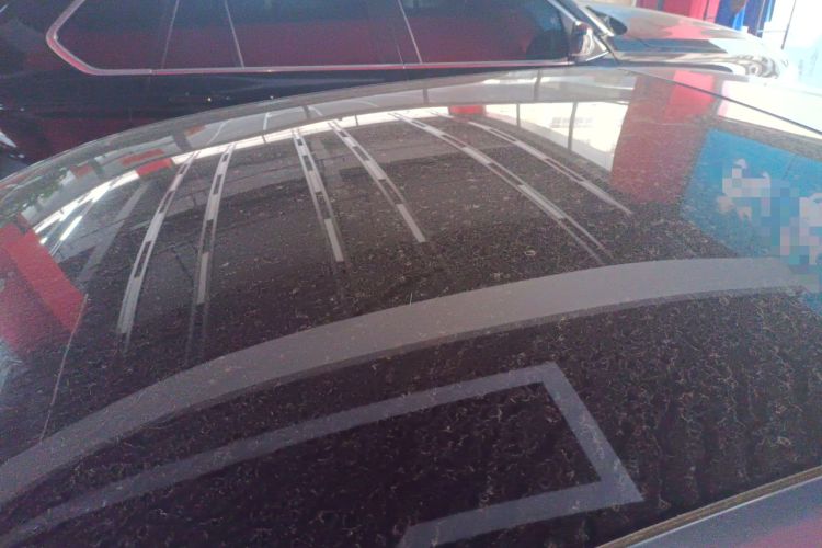 Used XPeng P5 2022 550P
