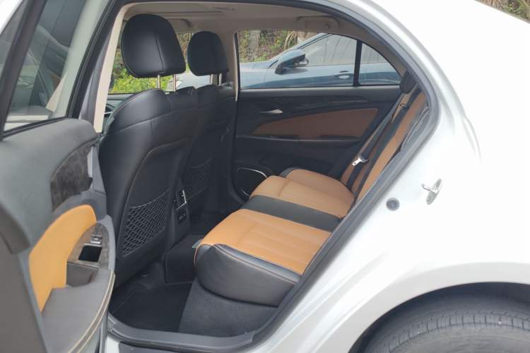 Used BYD Qin New Energy 2017 1.5T Luxury Model Left Rear Seat