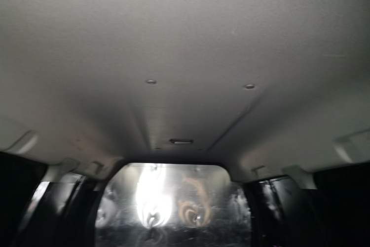 Used FORTHING Lingzhi 2018 V3L 1.6L 2-Seat Logistics Version