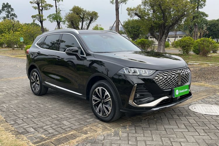 Used Wey Latte DHT 2022 1.5T DHT Extra-Large Cup
