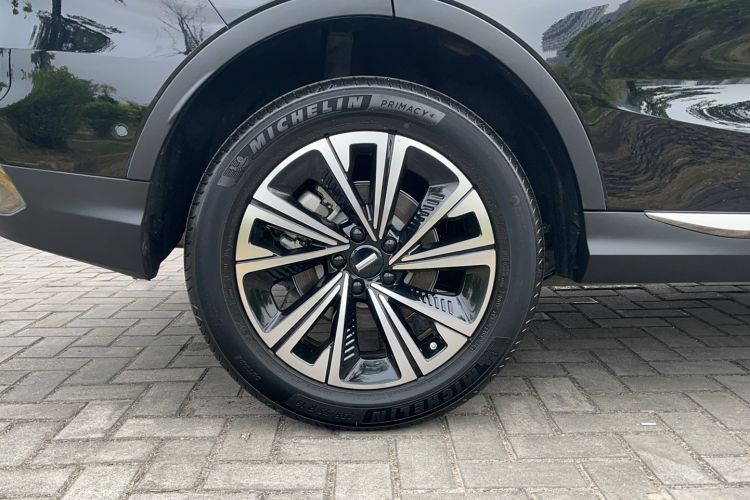 Used Wey Latte DHT 2022 1.5T DHT Extra-Large Cup
