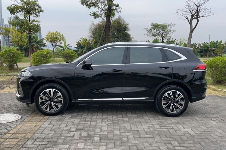 Used Wey Latte DHT 2022 1.5T DHT Extra-Large Cup
