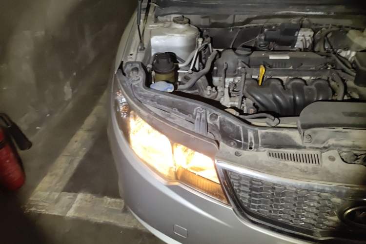 Used Kia Forte 2009 1.6L MT GL
