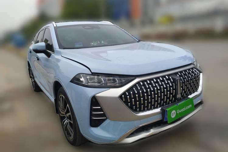 Used Wey Mocha 2021 2.0T Two-Wheel-Drive Ultra-Strong Version