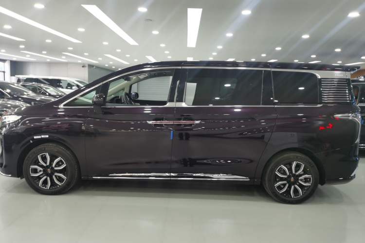 Used Hongqi HQ9 2023 2.0T Smart Connect Flagship Edition