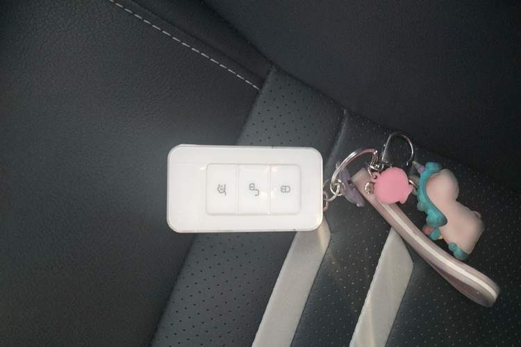 Used BYD Qin Pro New Energy 2019 DM Super Edition 1.5TI Automatic Smart Connect Prestige Model China V Standard Vehicle Key