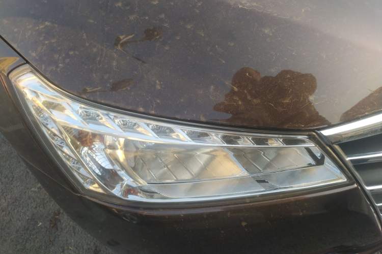 Used Luxgen 5 2014 Dance Limited Edition 1.8T Automatic Luxury Version
