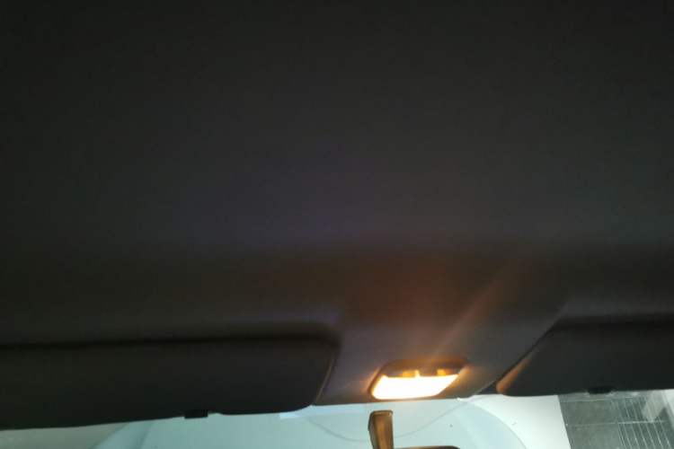 Used Levdeo MangoPro 2022 200 Classic Edition