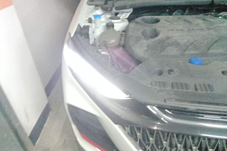 Used Oshan X7 PLUS 2022 1.5T Blue Whale Edition Automatic Luxury Trim