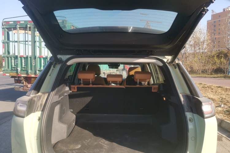 Used WM Motor W6 2021 520km ACE Advanced Intelligence Edition