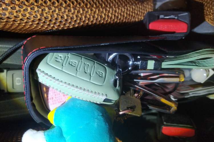 Used ORA White Cat 2022 Xiaoyue Mao Edition 360 km Luxury Model Lithium NMC
