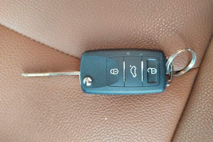 Used FORTHING Lingzhi PLUS 2021 2.0L Manual Comfort Version 7 Seats
