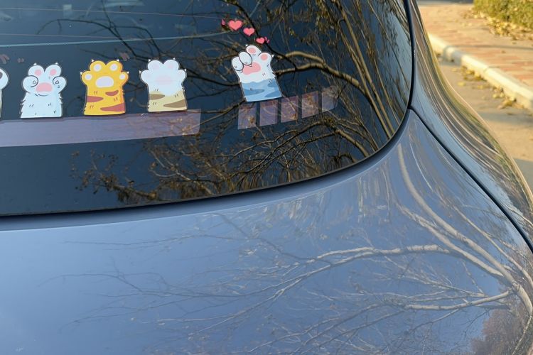 Used ORA Good Cat GT 2022 Mulan Edition 480km Long-Range续航
