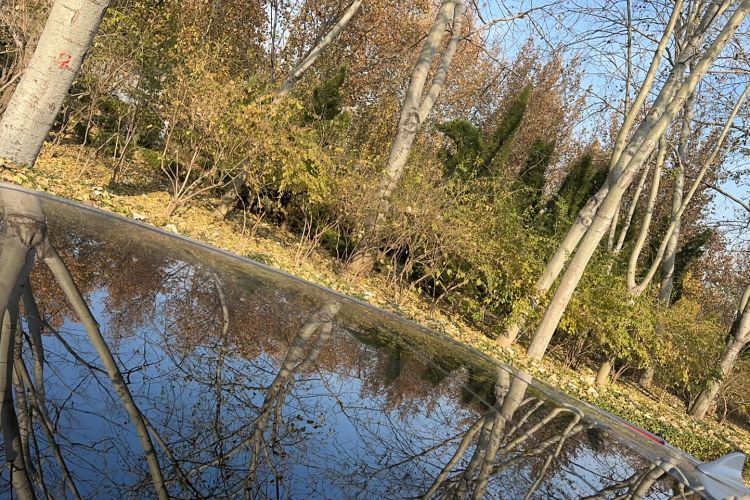 Used ORA Good Cat GT 2022 Mulan Edition 480km Long-Range续航
