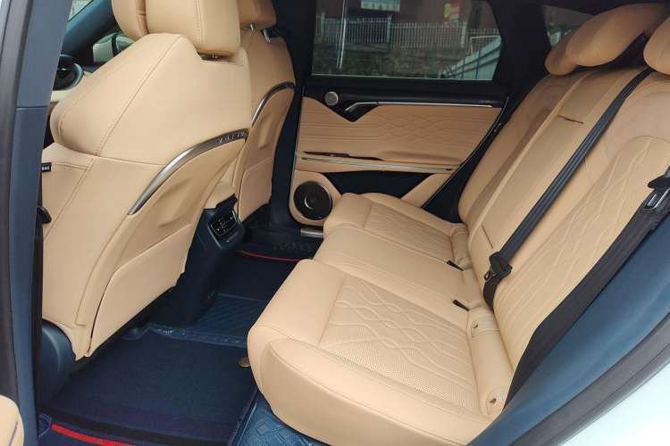 Used VOYAH FREE 2021 Two-Wheel Drive Standard Pure Electric City Edition
