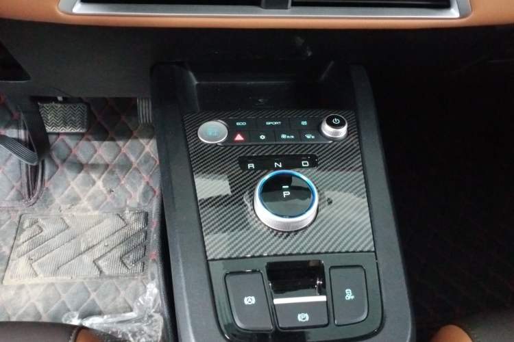 Used BYD e2 2020 Upgraded Version Long-Range Edition Luxury Model