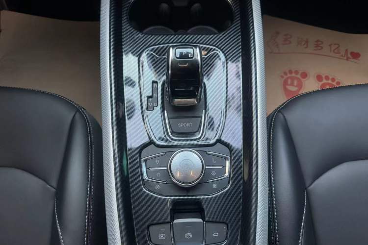 Used EXEED TX 2019 1.6T Four-Wheel Drive Platinum Edition