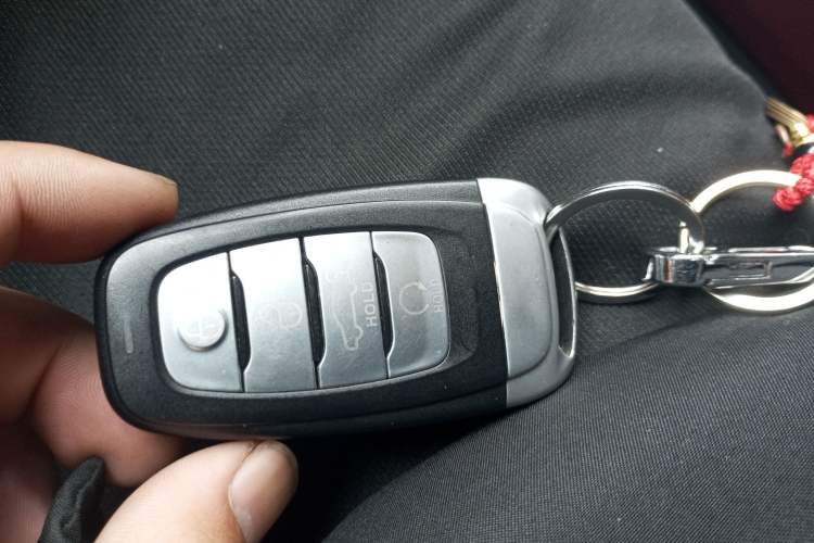 Used Hongqi E-HS9 2021 460 km Range Flagship Edition Six-Seater
