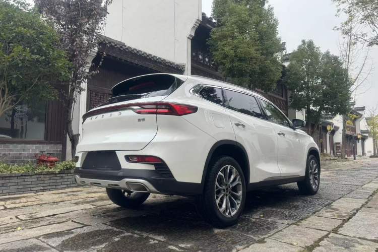 Used EXEED TX 2019 1.6T Four-Wheel Drive Platinum Edition