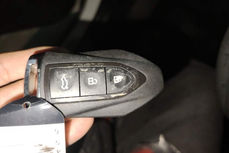 Used Leopaard CS9 2017 1.5L CVT Fashion Edition