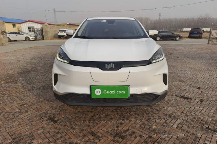 Used WM Motor EX5 2019 EX5 Lite Exploration Edition 520