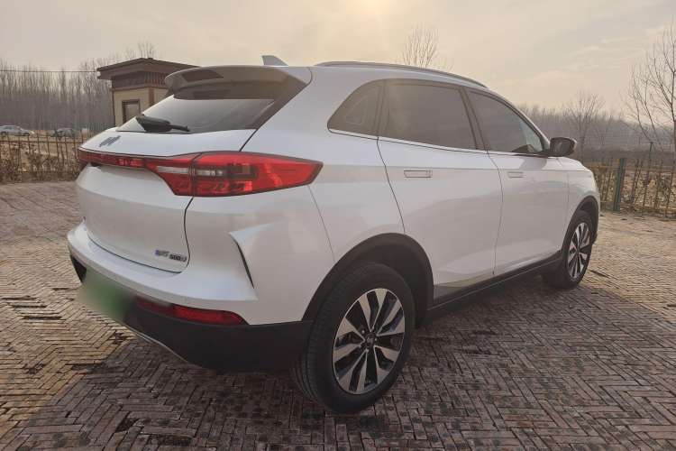 Used WM Motor EX5 2019 EX5 Lite Exploration Edition 520