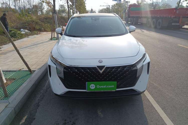 Used Venucia V 2021 260T Tianwang Edition
