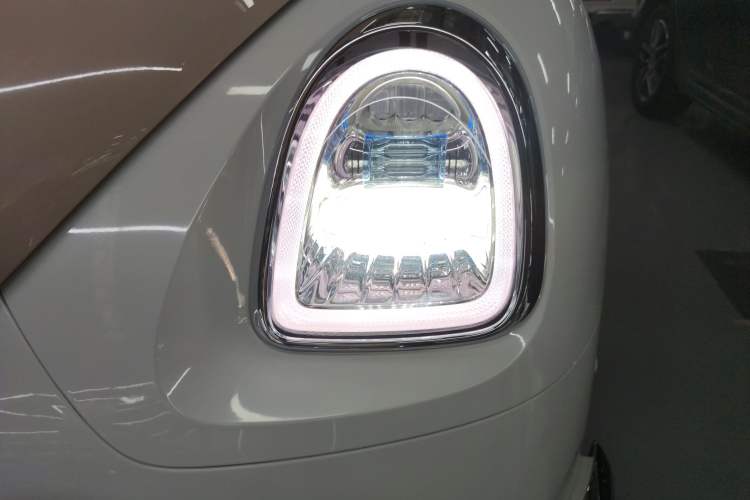 Used ORA Ballet Cat 2022 401 km Nutcracker Edition
