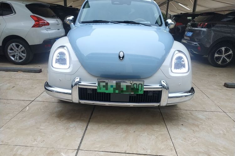 Used ORA Ballet Cat 2022 401 km Nutcracker Edition
