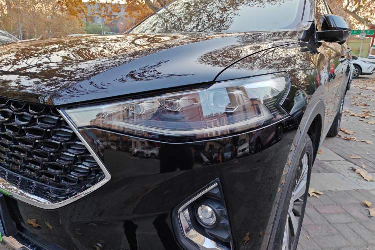 Used Haval F7x 2019 2.0T Two-Wheel Drive Intelligent Technology Edition
