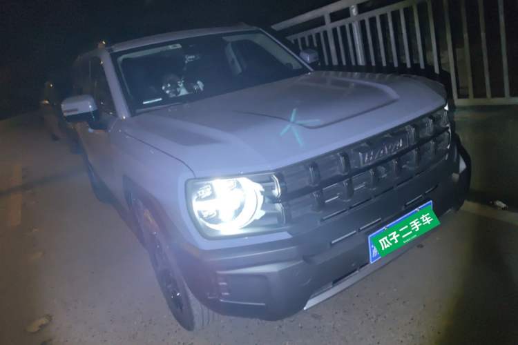 Used Haval X DOG 2022 1.5T DCT Two-Wheel Drive Trendy Sound Edition
