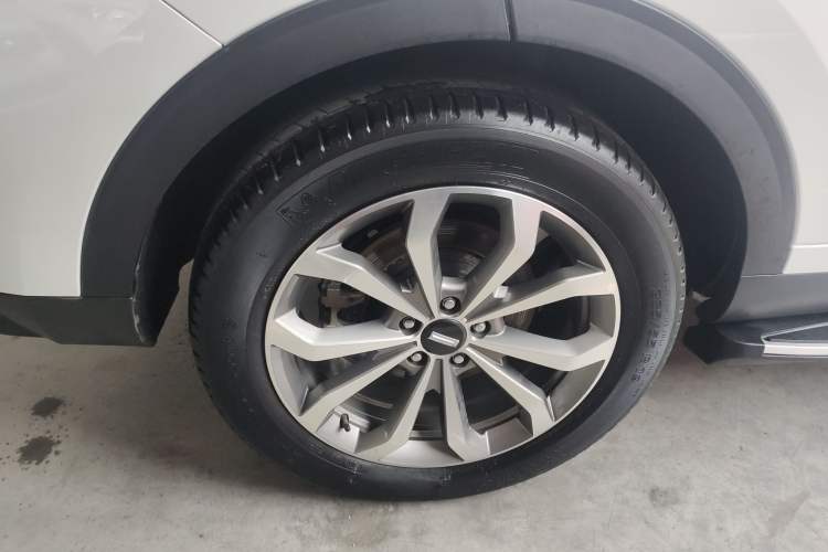 Used Wey VV6 2019 2.0T Two-Wheel-Drive Ultra-Luxury Version China VI Standard
