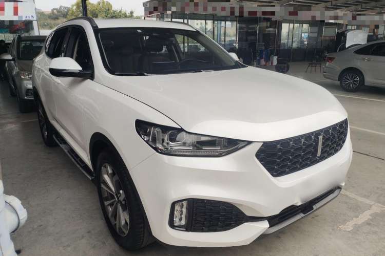 Used Wey VV6 2019 2.0T Two-Wheel-Drive Ultra-Luxury Version China VI Standard
