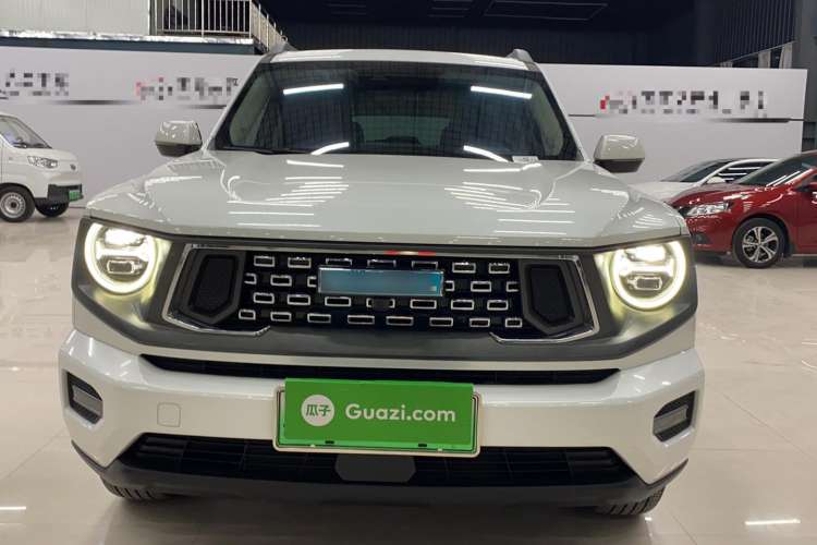 Used Haval H Dog New Energy 2023 DHT-PHEV 105km Tide Electric Version Plus