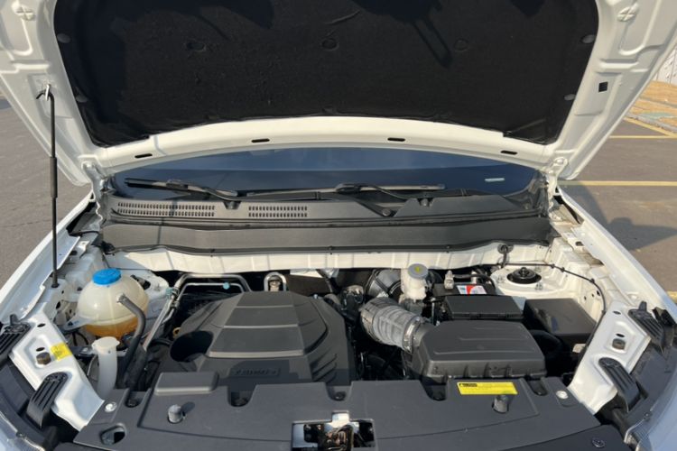 Used Yema Bojun 2019 Performance Version 1.5T CVT Lingdong Model
