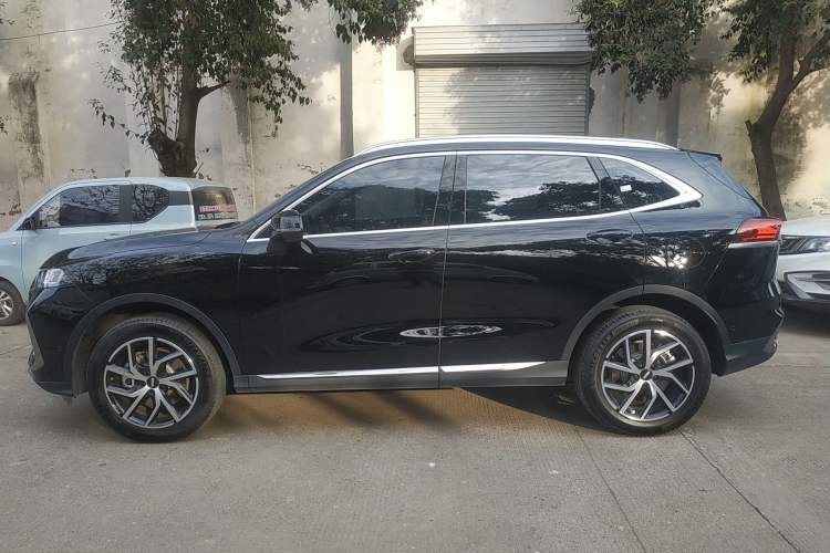 Used Wey Latte DHT-PHEV 2022 1.5T Two-Wheel-Drive Extra-Large Version