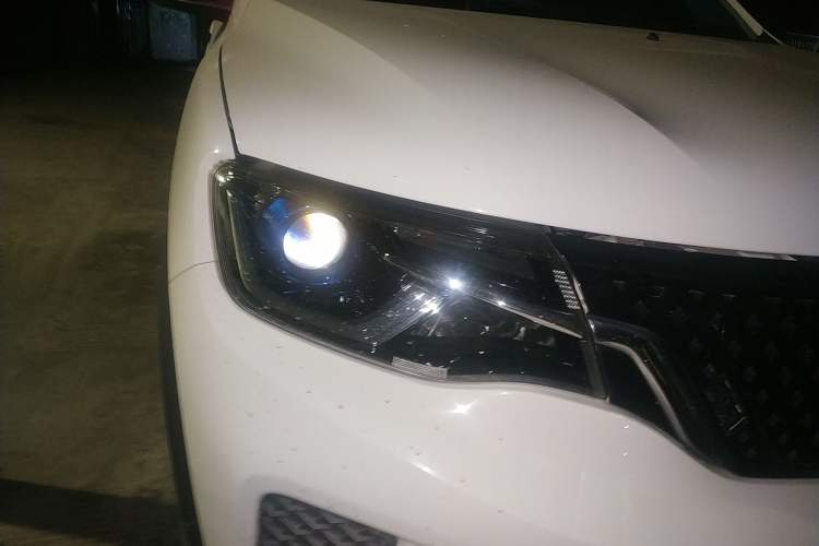 Used Venucia e30 2020 Elite Edition