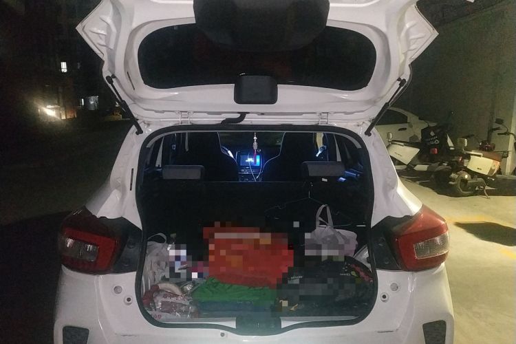 Used Venucia e30 2020 Elite Edition