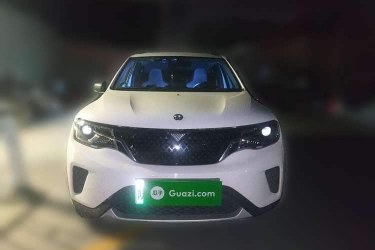 Used Venucia e30 2020 Elite Edition