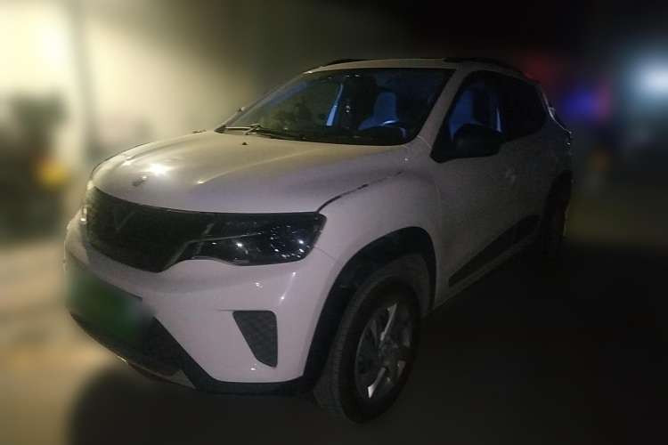 Used Venucia e30 2020 Elite Edition